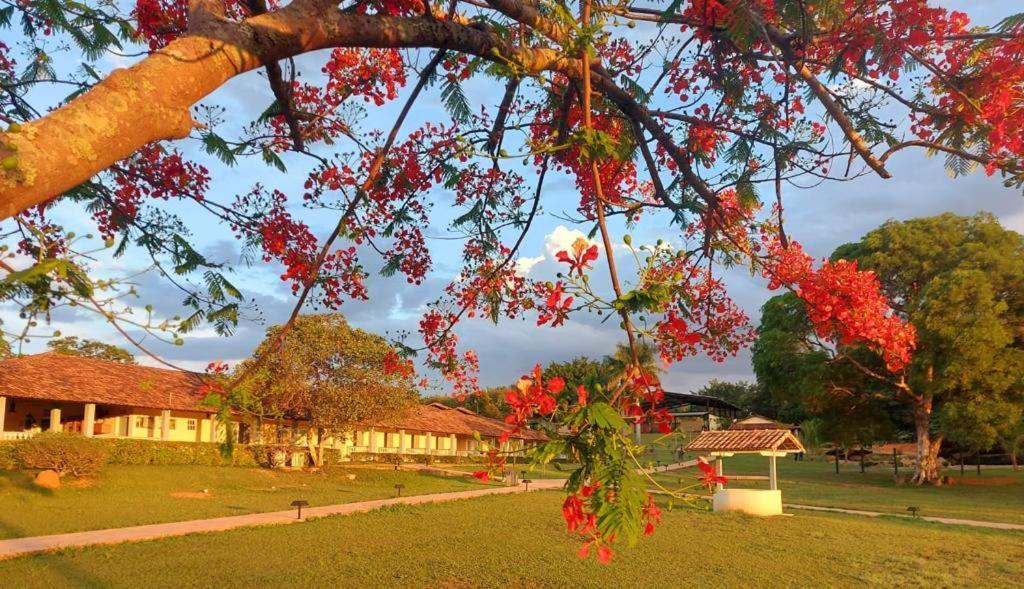 Sertao Veredas Hotel Fazenda Paraopeba Exterior foto